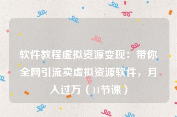 软件教程虚拟资源变现：带你全网引流卖虚拟资源软件，月入过万（11节课）