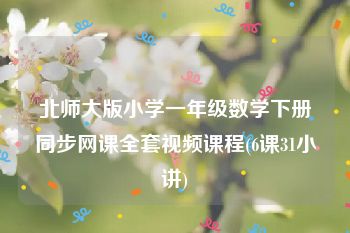 北师大版小学一年级数学下册同步网课全套视频课程(6课31小讲)