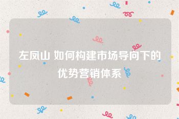 左凤山 如何构建市场导向下的优势营销体系