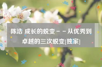 陈浩 成长的蜕变－－从优秀到卓越的三次蜕变[独家]