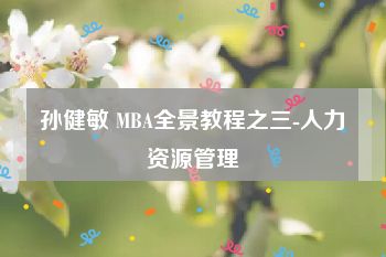 孙健敏 MBA全景教程之三-人力资源管理