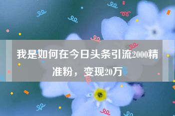 我是如何在今日头条引流2000精准粉，变现20万