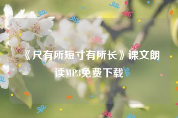 《尺有所短寸有所长》课文朗读MP3免费下载