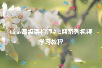 Linux高级架构师#12期系列视频学习教程