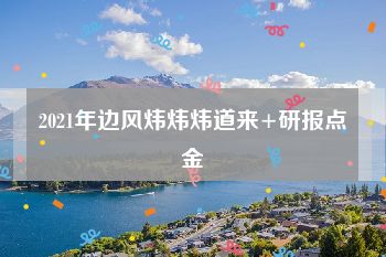 2021年边风炜炜炜道来+研报点金