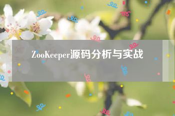 ZooKeeper源码分析与实战