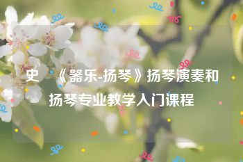 史玥《器乐-扬琴》扬琴演奏和扬琴专业教学入门课程