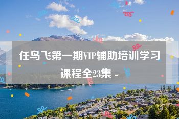 任鸟飞第一期VIP辅助培训学习课程全23集 -