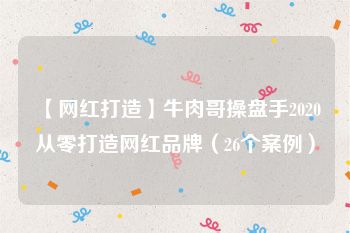 【网红打造】牛肉哥操盘手2020从零打造网红品牌（26个案例）