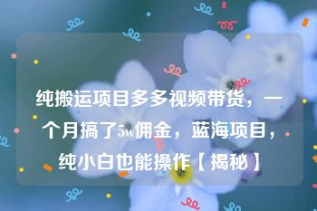 纯搬运项目多多视频带货，一个月搞了5w佣金，蓝海项目，纯小白也能操作【揭秘】