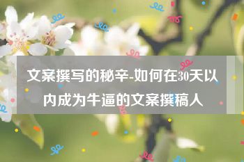 文案撰写的秘辛-如何在30天以内成为牛逼的文案撰稿人