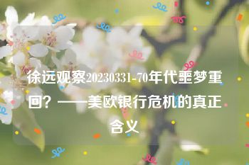 徐远观察20230331-70年代噩梦重回？——美欧银行危机的真正含义