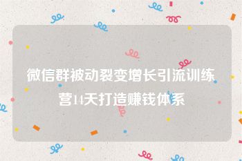 微信群被动裂变增长引流训练营14天打造赚钱体系