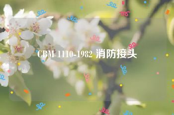 CBM 1110-1982 消防接头