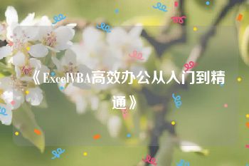 《ExcelVBA高效办公从入门到精通》