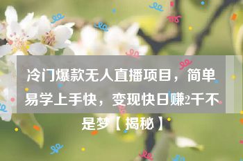 冷门爆款无人直播项目，简单易学上手快，变现快日赚2千不是梦【揭秘】