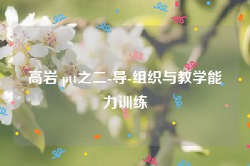 高岩 ptt之二-导-组织与教学能力训练