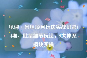 龟课·闲鱼项目玩法实战班第14期，批量细节玩法，9大体系模块实操