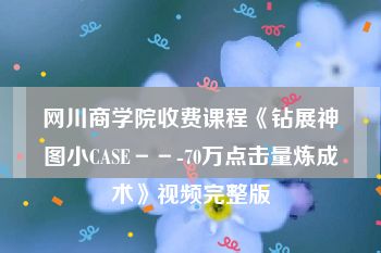 网川商学院收费课程《钻展神图小CASE－－-70万点击量炼成术》视频完整版