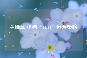 黄瑞章 小狗“11.11”运营策略