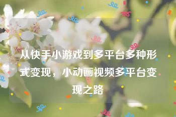 从快手小游戏到多平台多种形式变现，小动画视频多平台变现之路