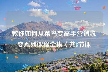 教你如何从菜鸟变高手营销蜕变系列课程全集（共8节课