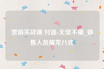 营销实战课 付遥-无坚不摧_销售人员摧龙八式