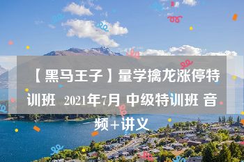 【黑马王子】量学擒龙涨停特训班  2021年7月 中级特训班 音频+讲义