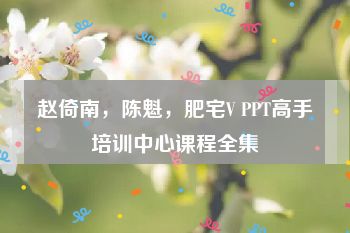 赵倚南，陈魁，肥宅V PPT高手培训中心课程全集