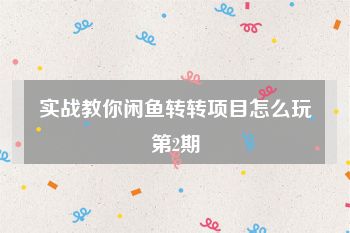 实战教你闲鱼转转项目怎么玩第2期