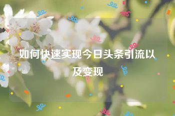 如何快速实现今日头条引流以及变现
