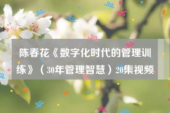 陈春花《数字化时代的管理训练》（30年管理智慧）20集视频