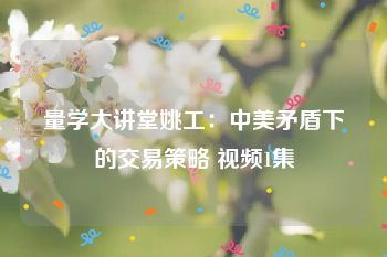 量学大讲堂姚工：中美矛盾下的交易策略 视频1集