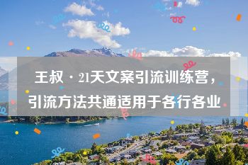 王叔·21天文案引流训练营，引流方法共通适用于各行各业