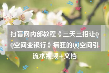 扫盲网内部教程《三天三招让QQ空间变银行》疯狂的QQ空间引流术视频+文档