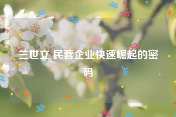 兰世立 民营企业快速崛起的密码