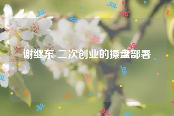 谢继东 二次创业的操盘部署