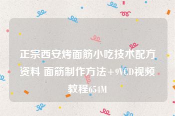 正宗西安烤面筋小吃技术配方资料 面筋制作方法+9VCD视频教程654M