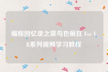 编程回忆录之菜鸟也疯狂 For VB系列视频学习教程