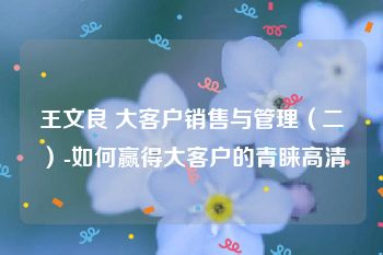 王文良 大客户销售与管理（二）-如何赢得大客户的青睐高清