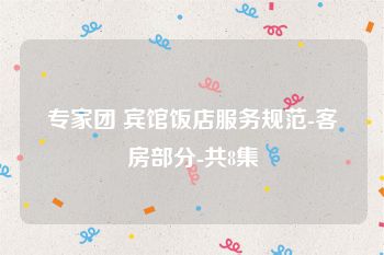 专家团 宾馆饭店服务规范-客房部分-共8集