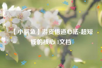 【小鳄鱼】游资悟道心法-超短线的核心 1文档