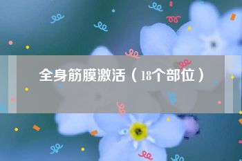 全身筋膜激活（18个部位）