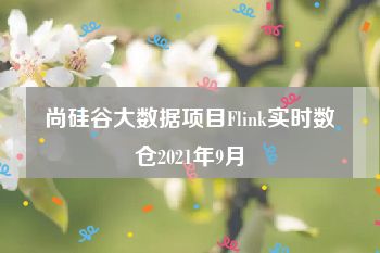 尚硅谷大数据项目Flink实时数仓2021年9月