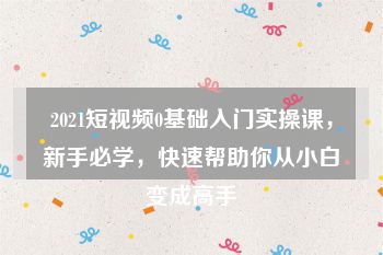 2021短视频0基础入门实操课，新手必学，快速帮助你从小白变成高手