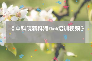 《中科院新科海Flash培训视频》