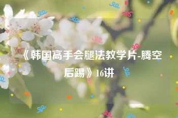 《韩国高手会腿法教学片-腾空后踢》16讲