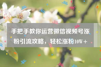 手把手教你运营微信视频号涨粉引流攻略，轻松涨粉10W+