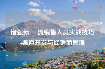 诸强新 一流销售人员实战技巧-渠道开发与经销商管理