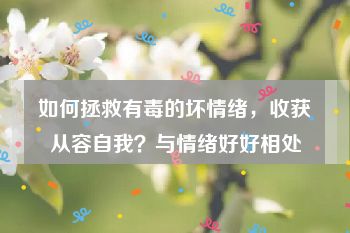 如何拯救有毒的坏情绪，收获从容自我？与情绪好好相处